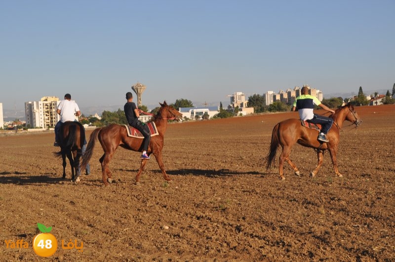 Khowoyouls ramala (3).JPG